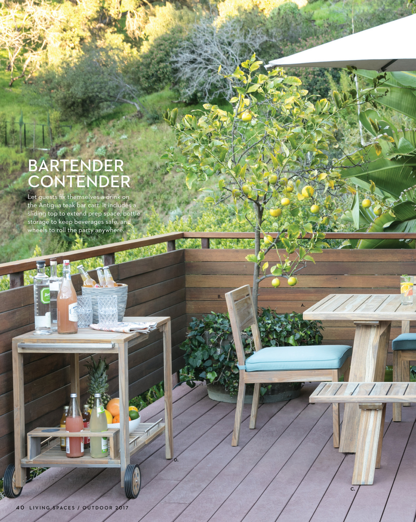 outdoor teak bar cart on Living Spaces Product Catalog Outdoor 2017 Outdoor Antigua Teak Armless Dining Chair